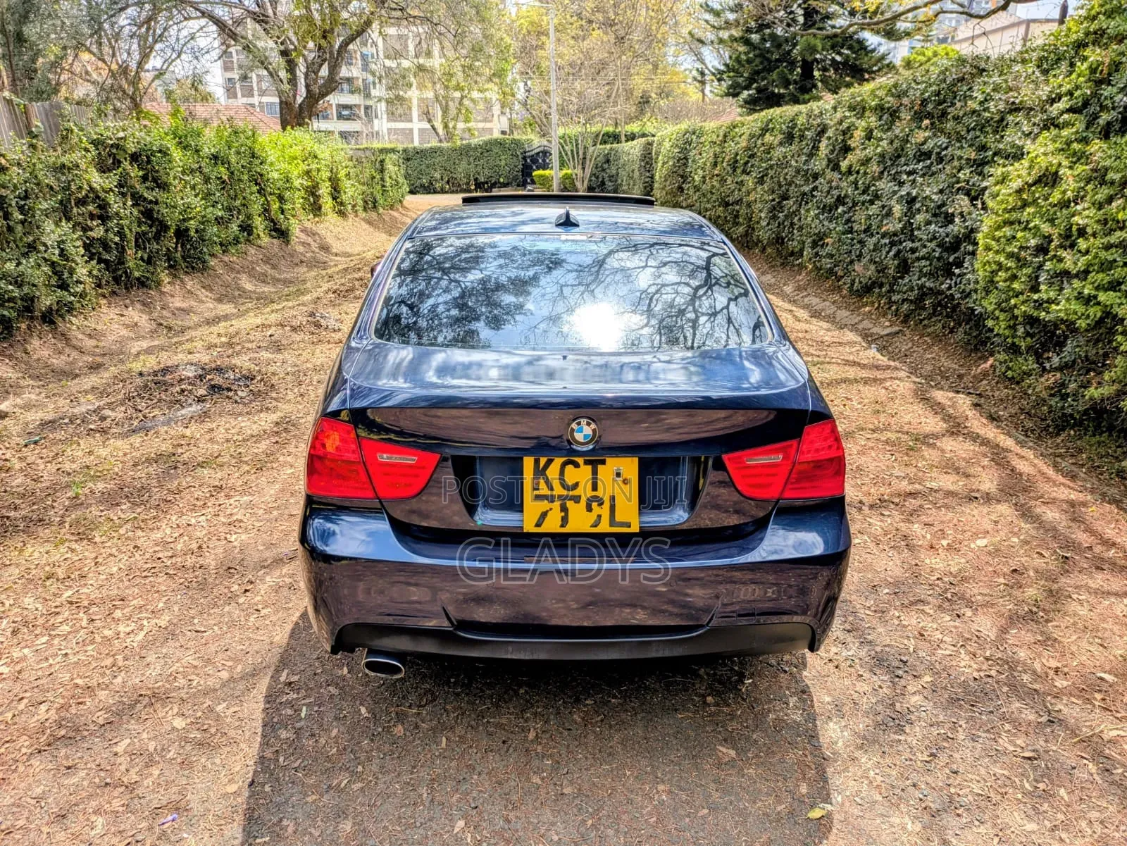 BMW 318i 2011 Blue