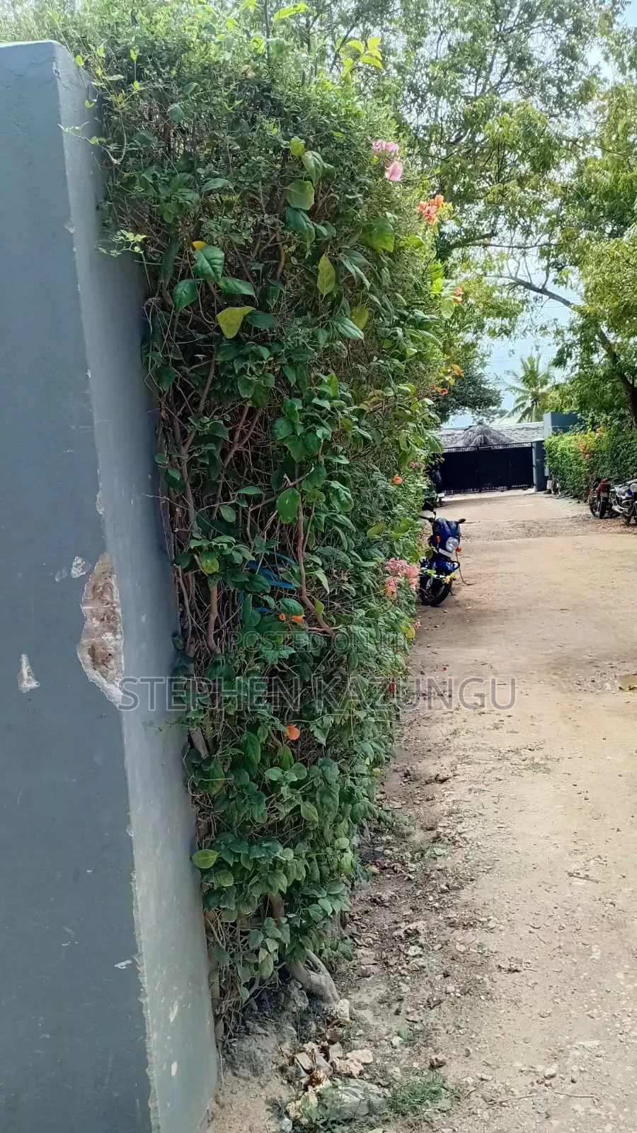 Galu Beach-Front 1/4 Acre Plot Only 100 Metres From the Sea Water.