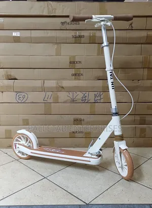 Metallic Scooter