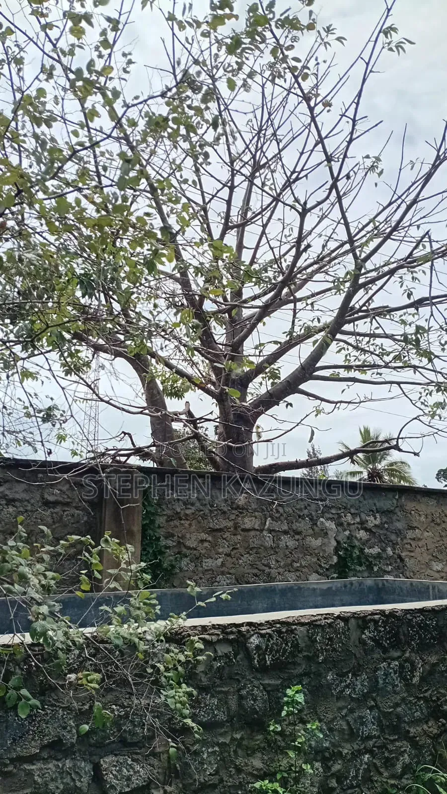 Galu Beach-Front 1/4 Acre Plot Only 100 Metres From the Sea Water.