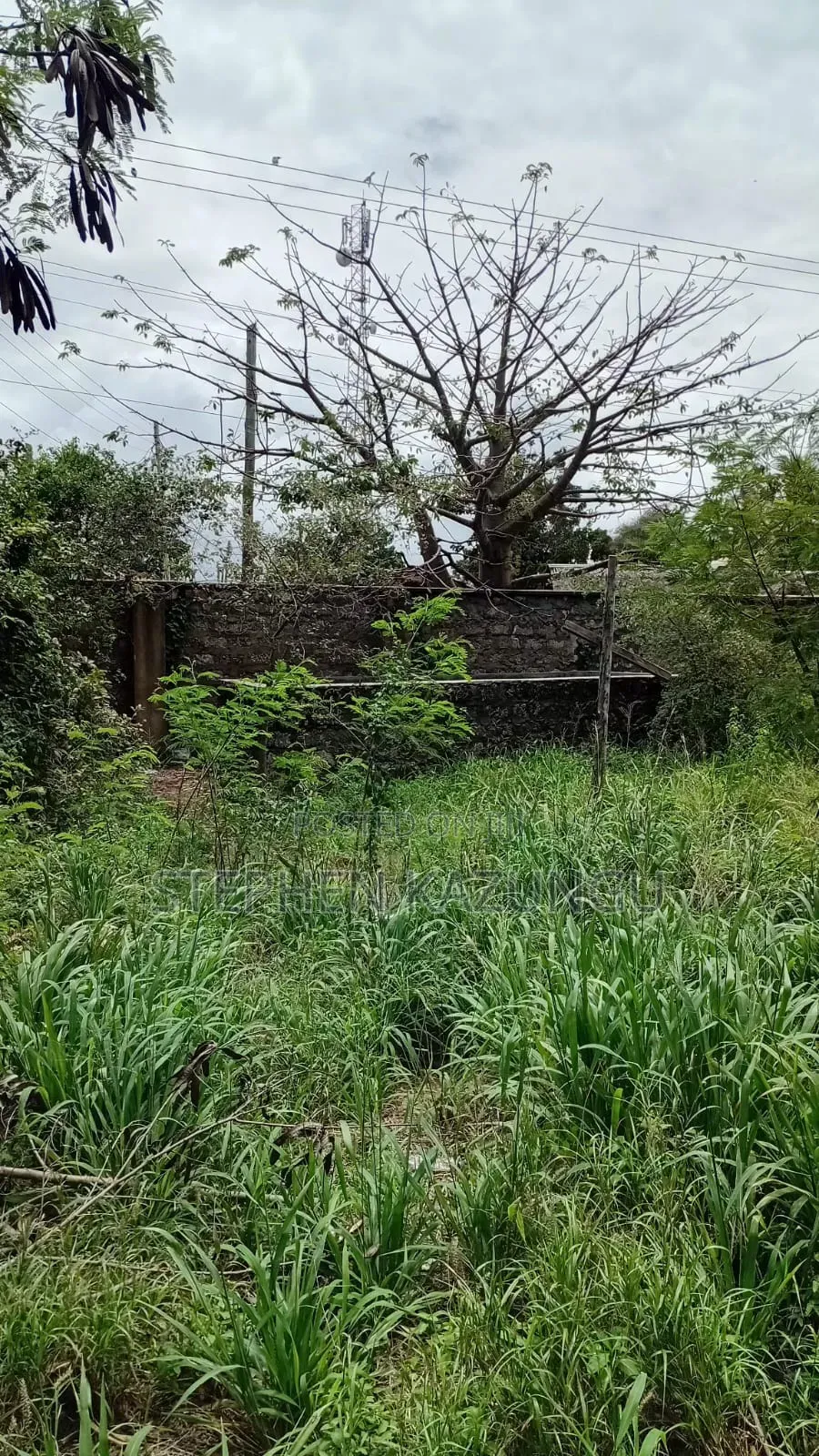 Galu Beach-Front 1/4 Acre Plot Only 100 Metres From the Sea Water.