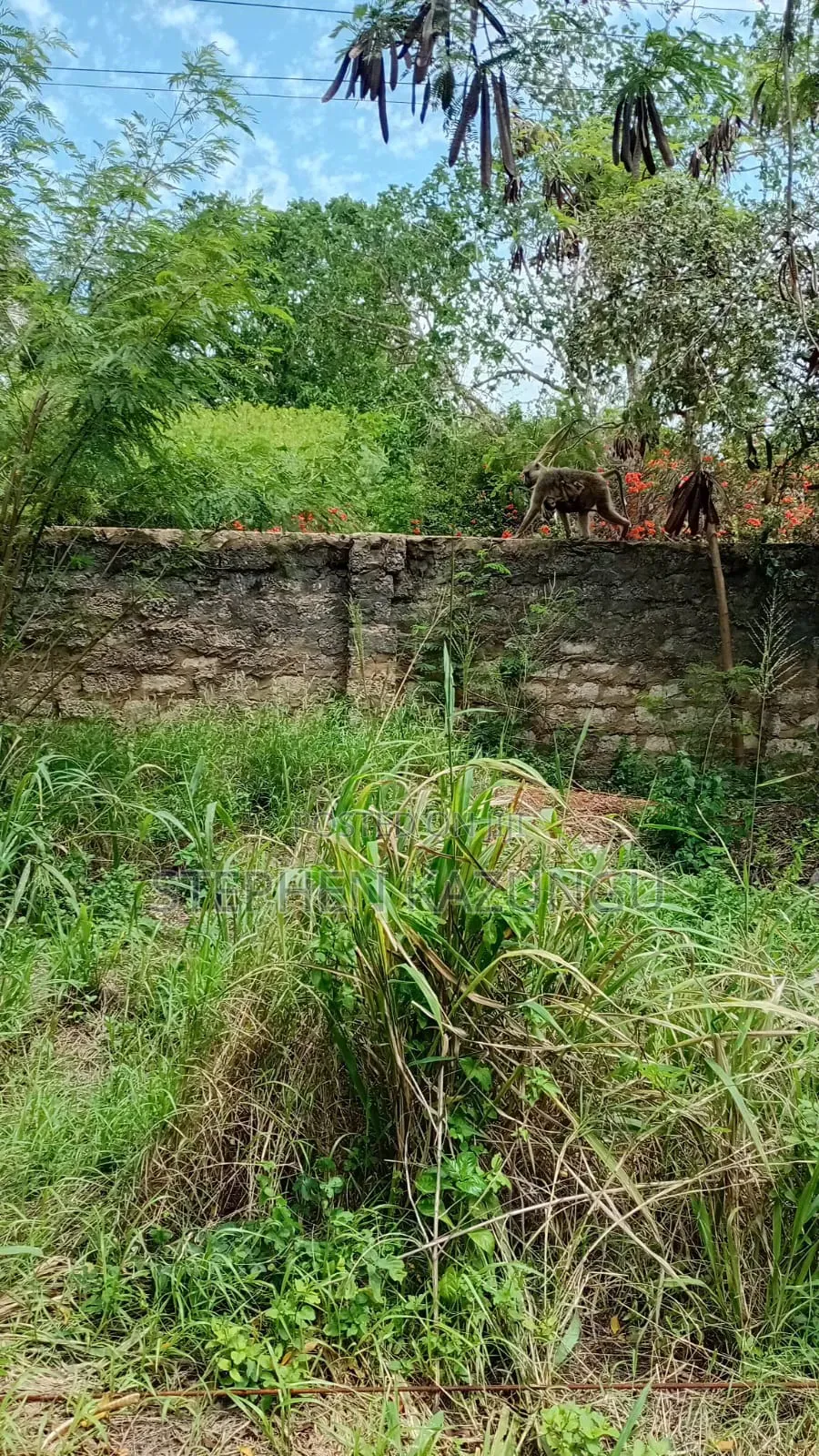 Galu Beach-Front 1/4 Acre Plot Only 100 Metres From the Sea Water.