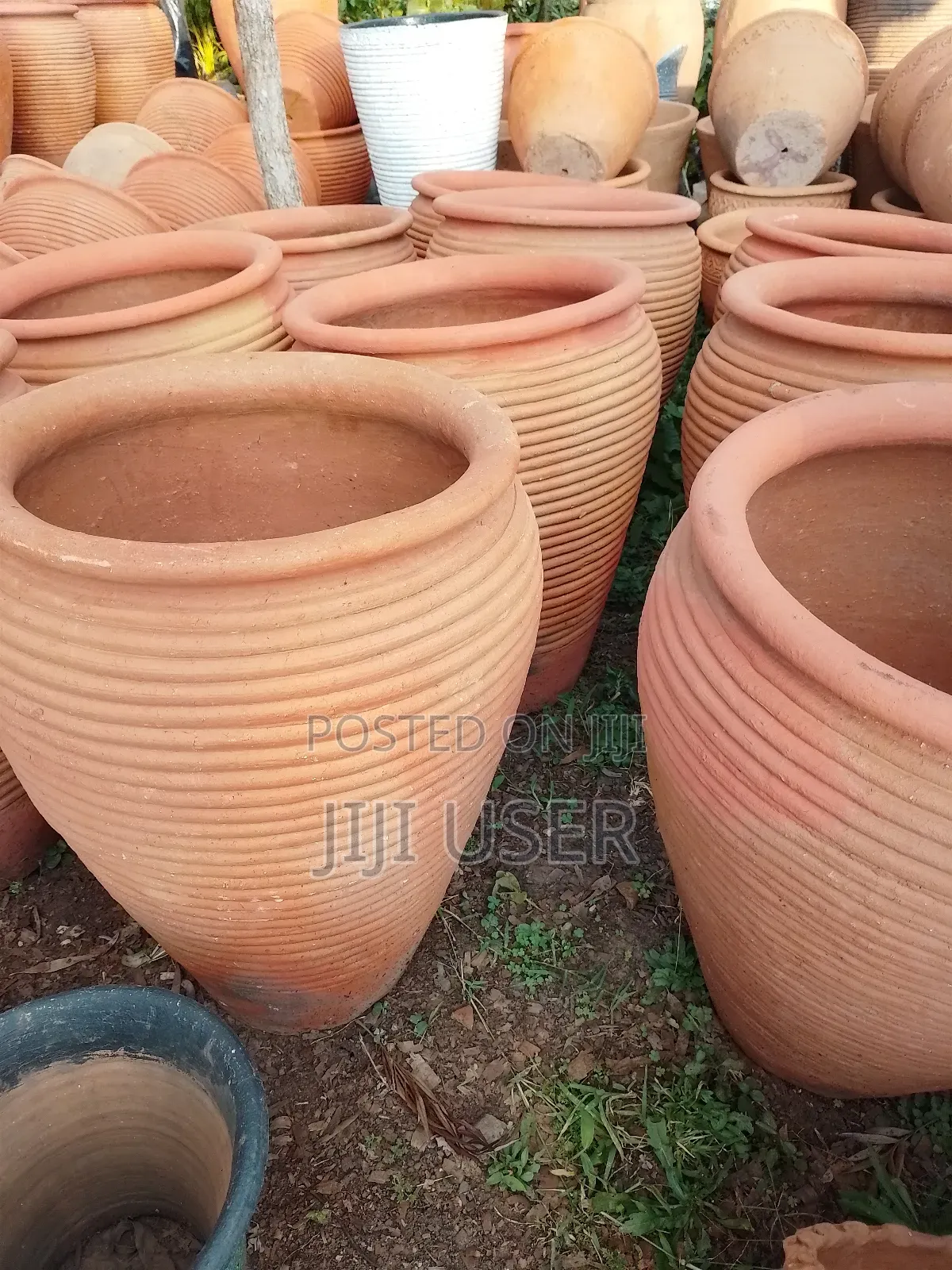 Clay Flower Pots