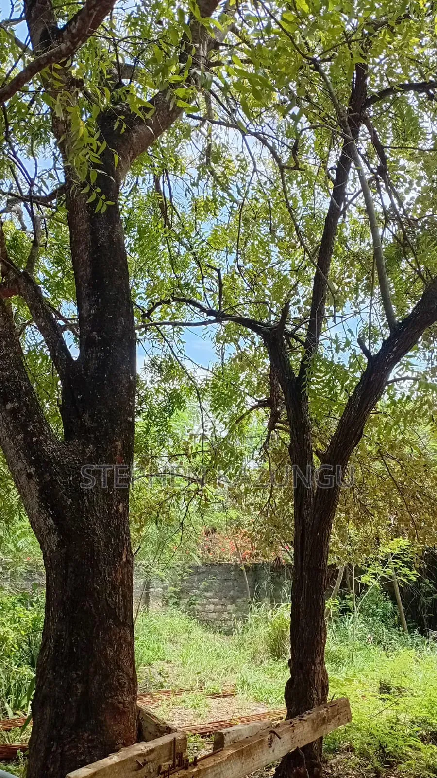 Galu Beach-Front 1/4 Acre Plot Only 100 Metres From the Sea Water.