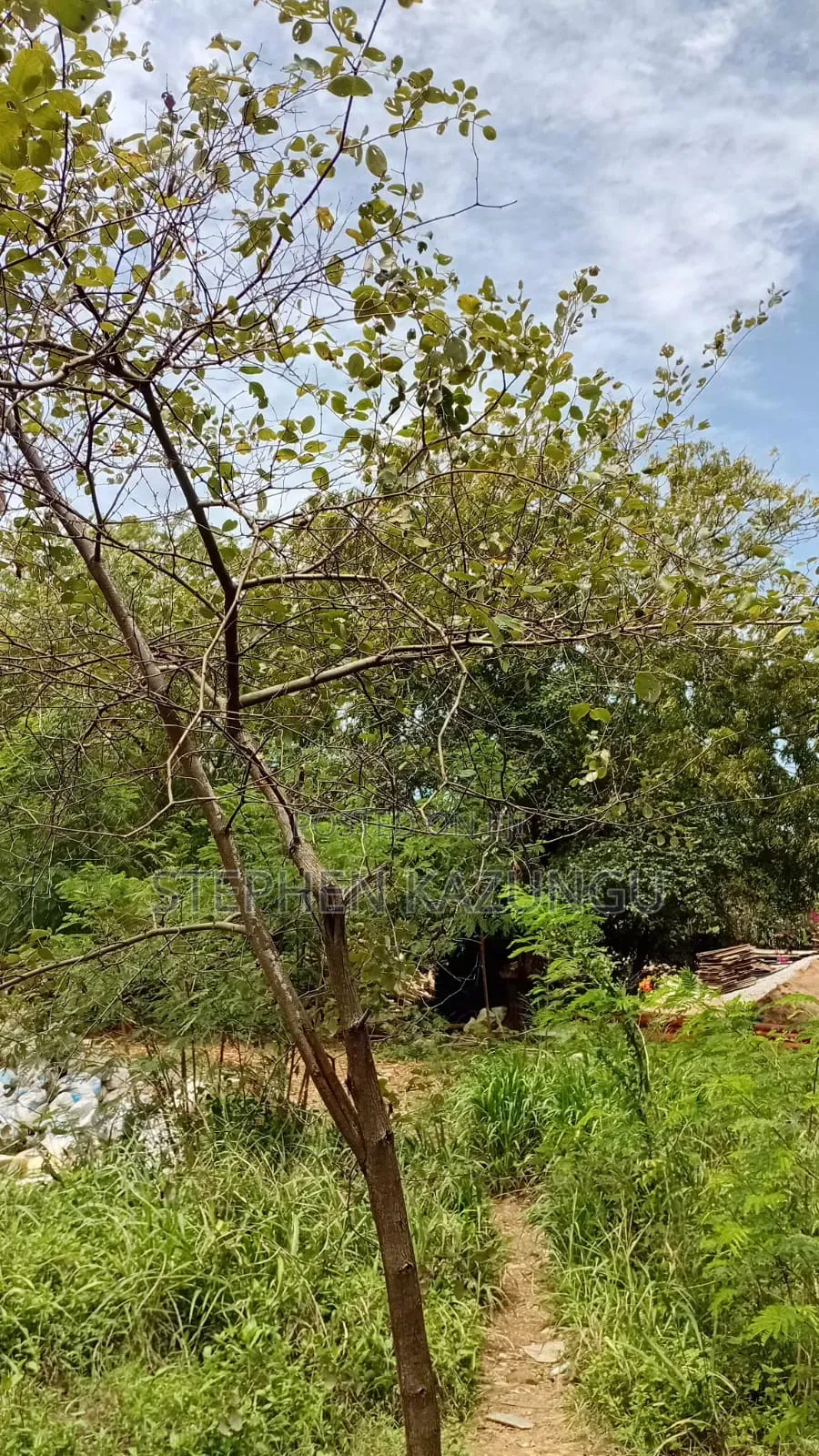 Galu Beach-Front 1/4 Acre Plot Only 100 Metres From the Sea Water.