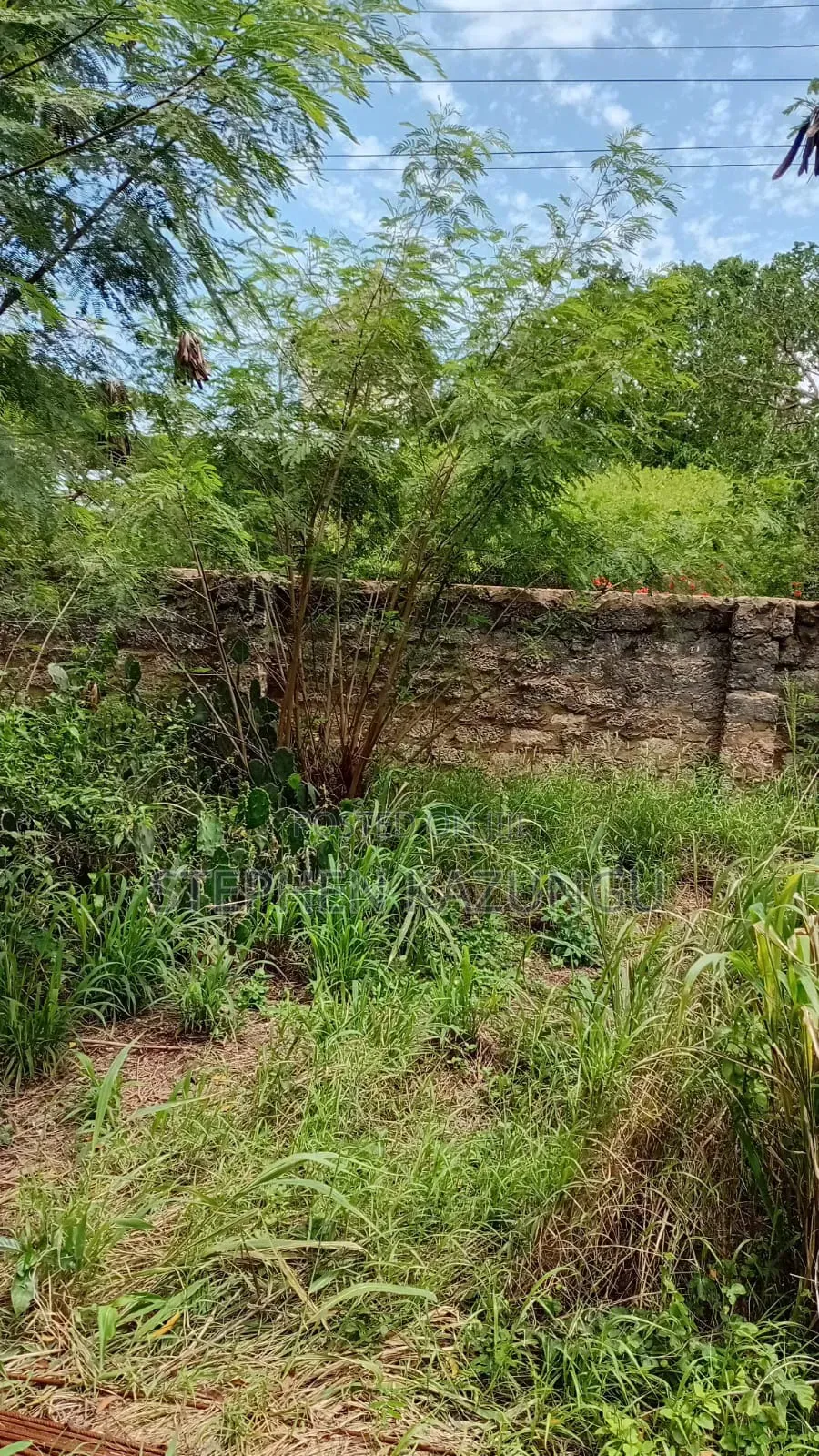 Galu Beach-Front 1/4 Acre Plot Only 100 Metres From the Sea Water.