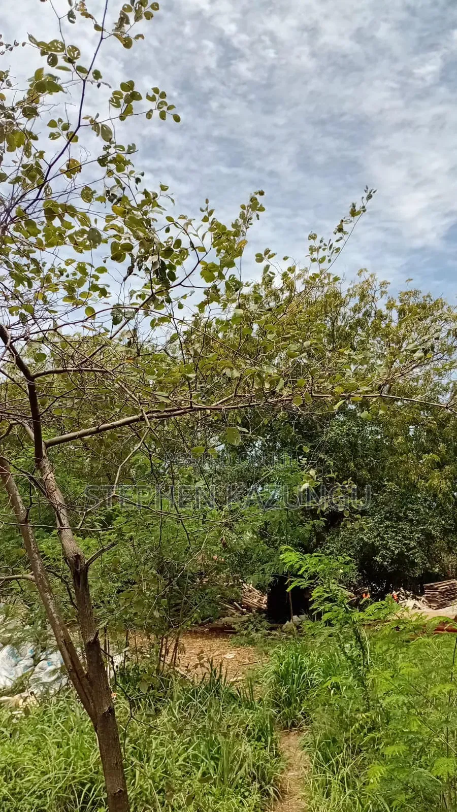 Galu Beach-Front 1/4 Acre Plot Only 100 Metres From the Sea Water.