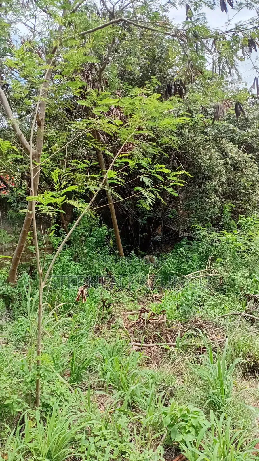 Galu Beach-Front 1/4 Acre Plot Only 100 Metres From the Sea Water.