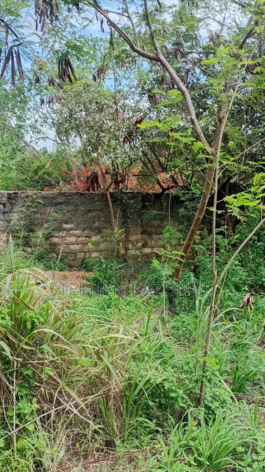 Galu Beach-Front 1/4 Acre Plot Only 100 Metres From the Sea Water.