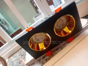 Recessed Downlights COB Spot Light Double Fitting Black Gold