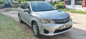 Toyota Axio 2010 Silver