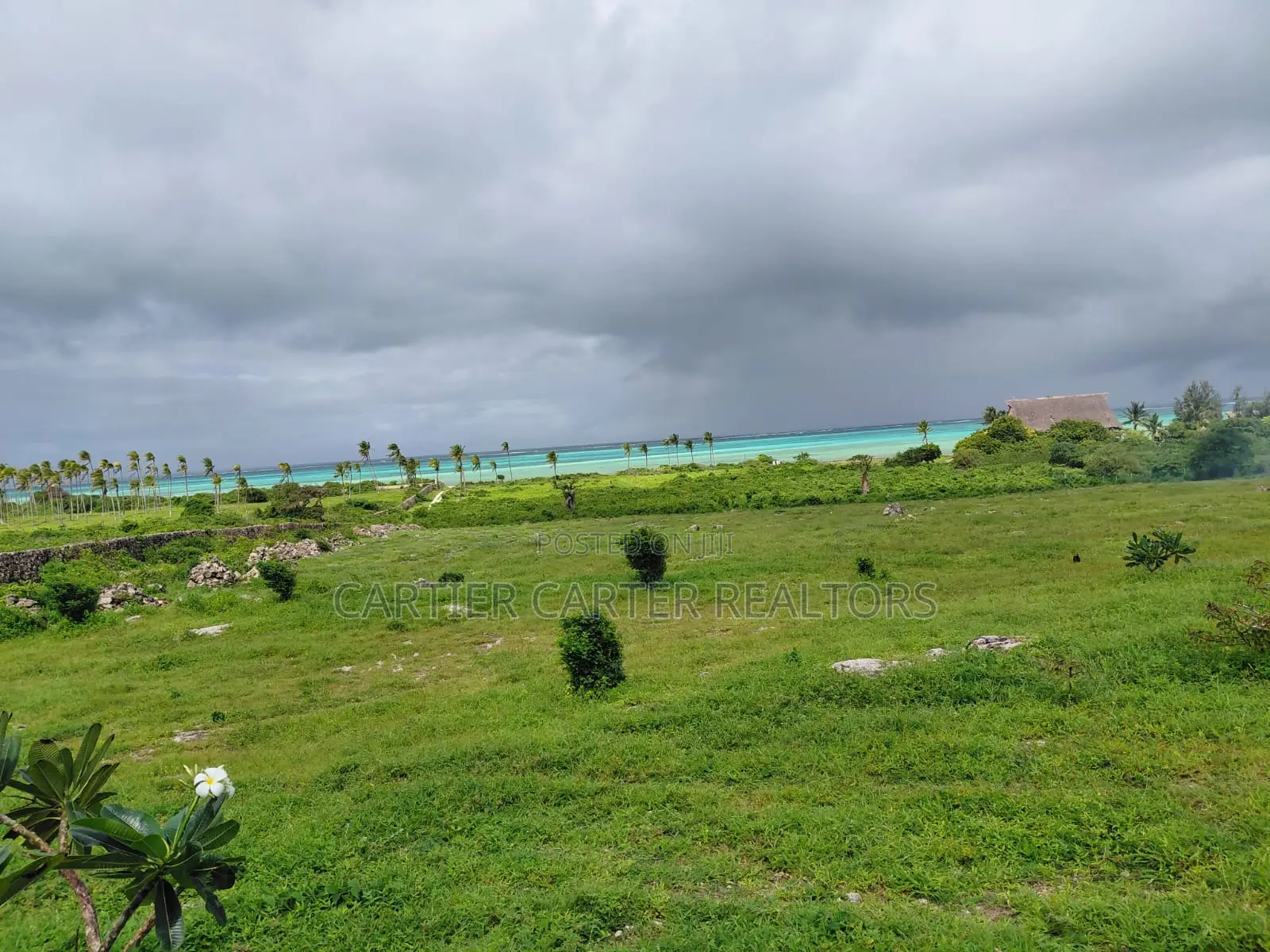 12 Acres Sand Beach Plot for Sale – Jacaranda, Near St. Thomas!