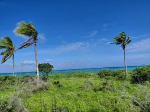 12 Acres Sand Beach Plot for Sale – Jacaranda, Near St. Thomas!