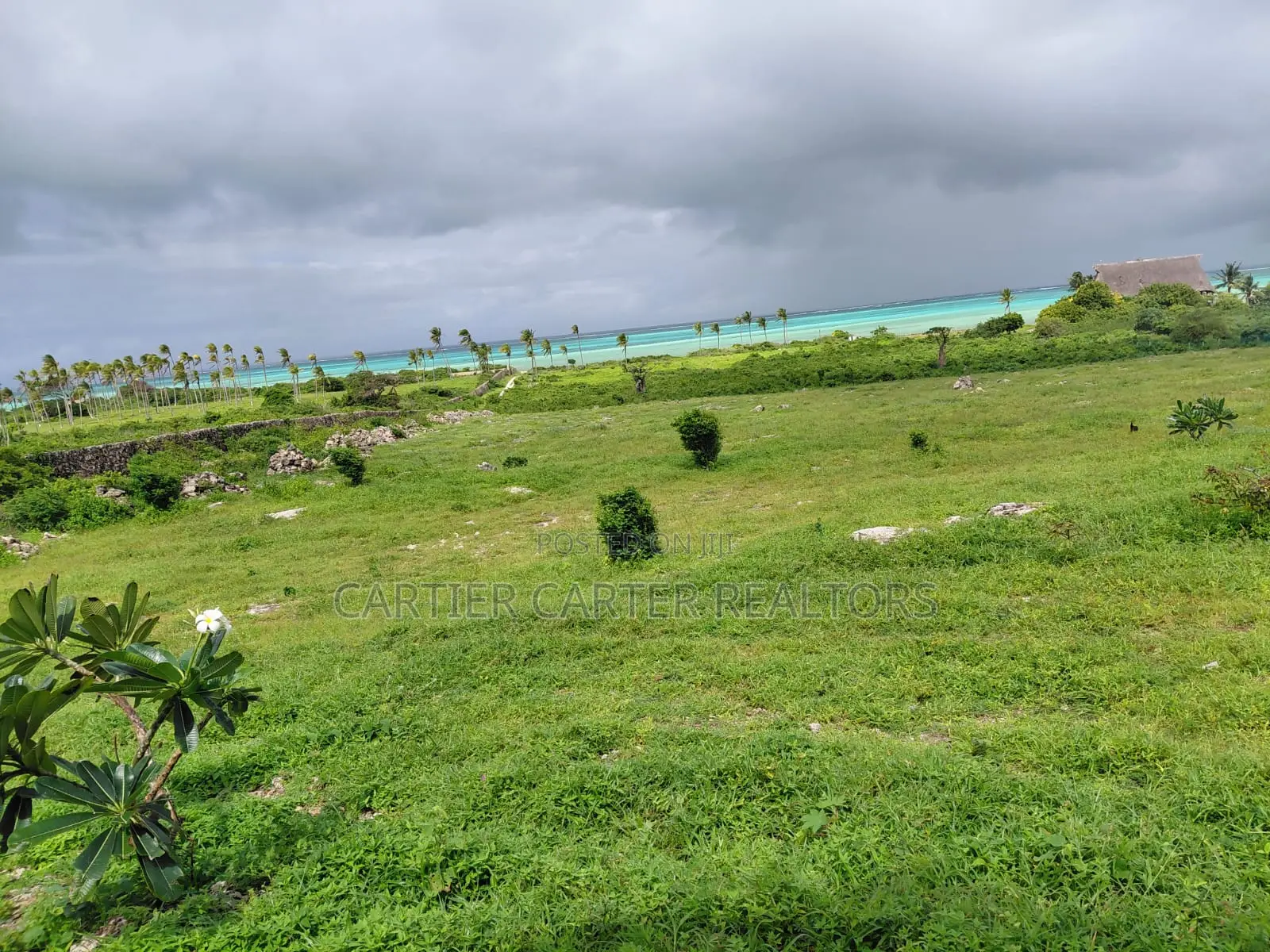 12 Acres Sand Beach Plot for Sale – Jacaranda, Near St. Thomas!