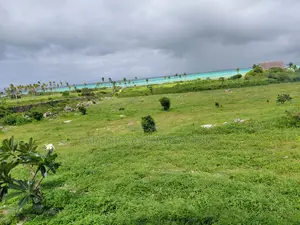12 Acres Sand Beach Plot for Sale – Jacaranda, Near St. Thomas!