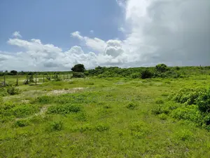 12 Acres Sand Beach Plot for Sale – Jacaranda, Near St. Thomas!