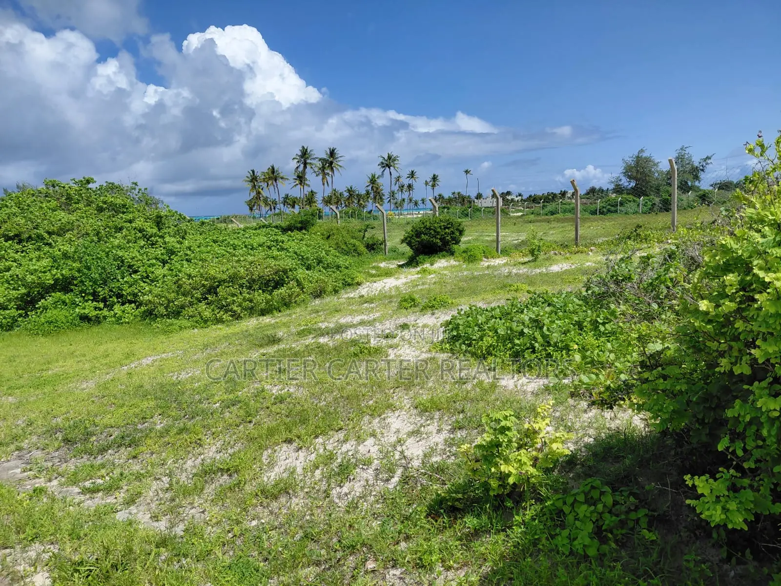 12 Acres Sand Beach Plot for Sale – Jacaranda, Near St. Thomas!