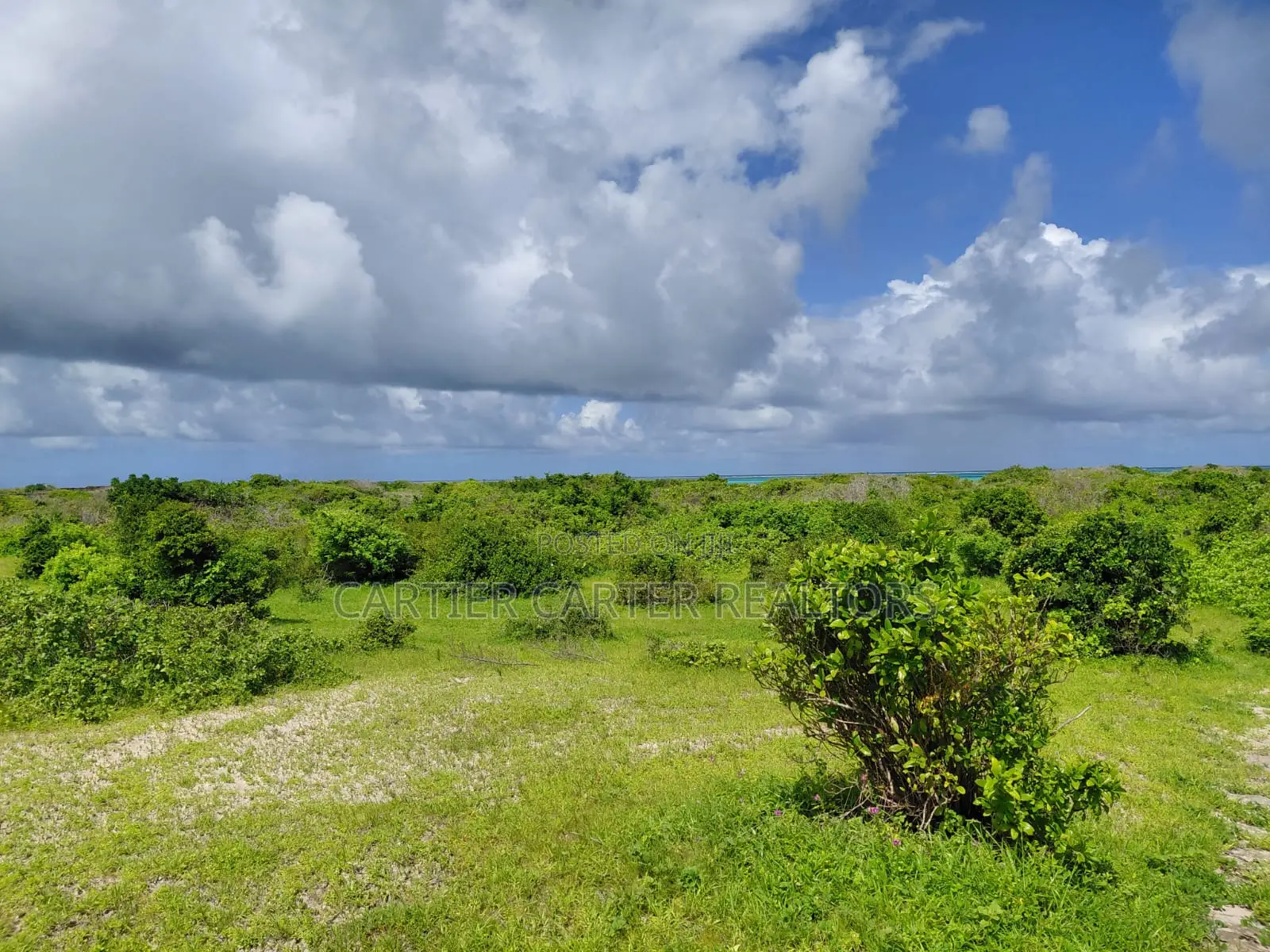12 Acres Sand Beach Plot for Sale – Jacaranda, Near St. Thomas!