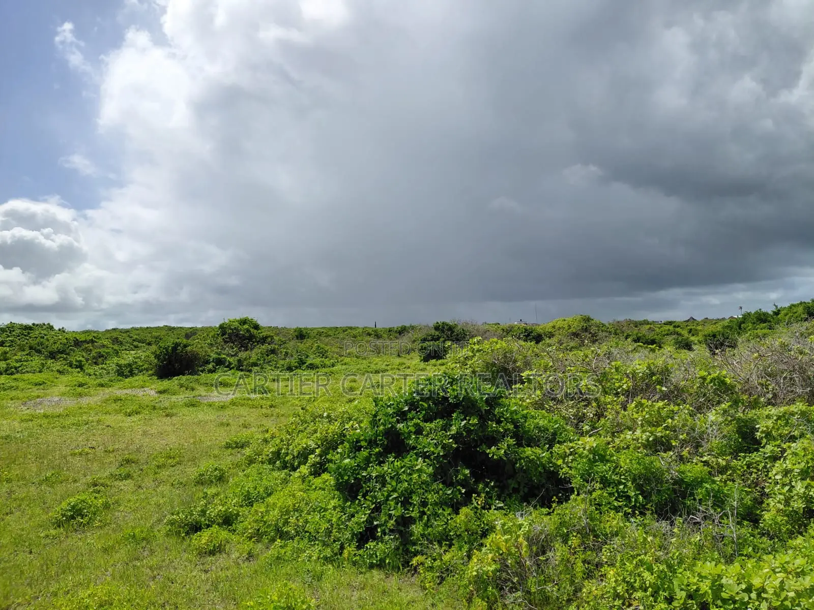 12 Acres Sand Beach Plot for Sale – Jacaranda, Near St. Thomas!