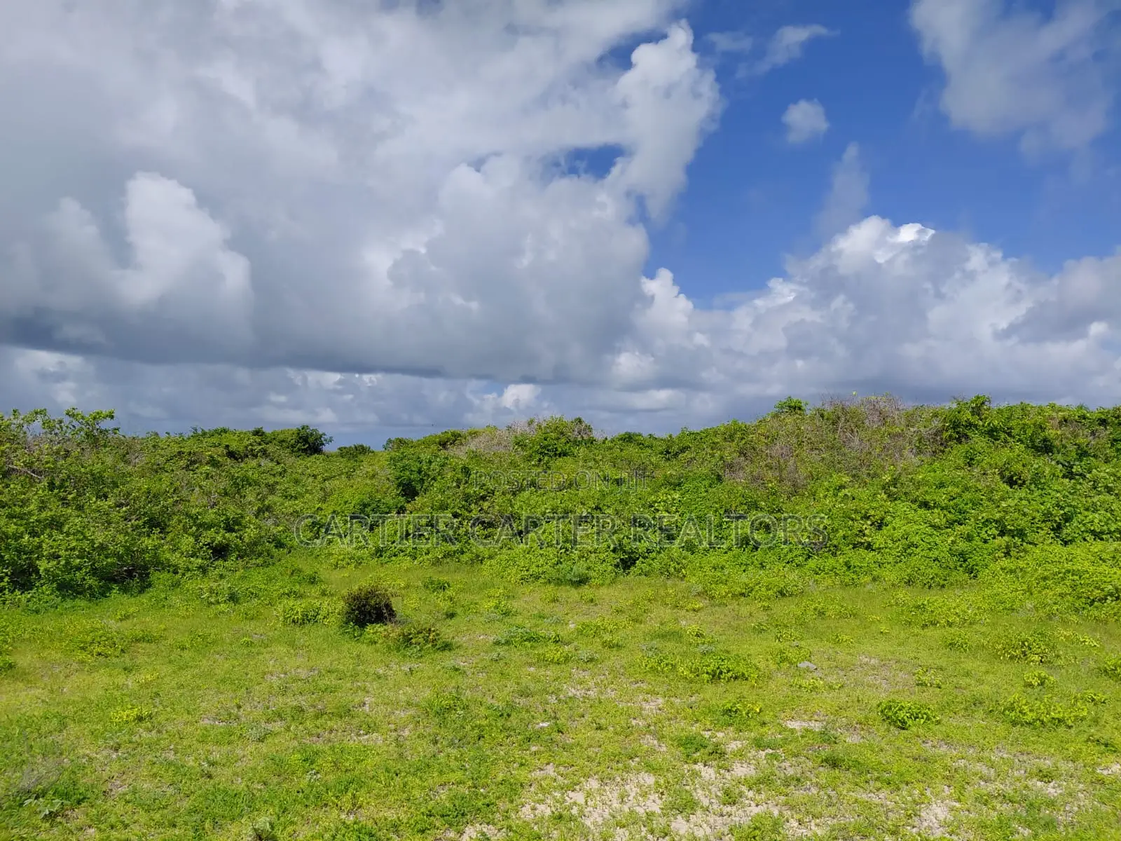 12 Acres Sand Beach Plot for Sale – Jacaranda, Near St. Thomas!