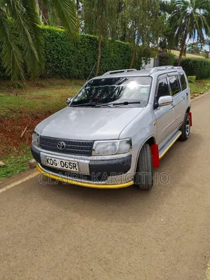 Toyota Probox 1.5 DX 2WD 2014 Silver