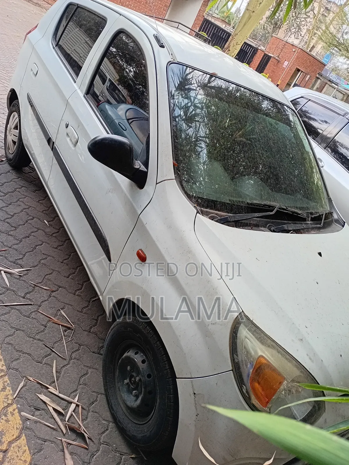 Suzuki Alto 2018 White