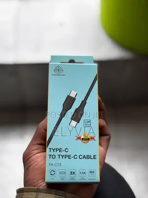 Floating Ark Type-C to Type-C Cable