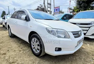 Toyota Axio 2009 White