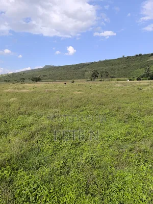 5 Acres Mbaruk Nakuru Quick Sale!