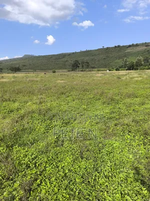 5 Acres Mbaruk Nakuru Quick Sale!