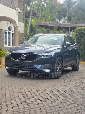 Volvo XC60 2020 Gray