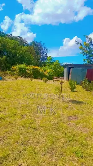 Land 1/8 Th, 1/4 & 3/4 Acre Sale
