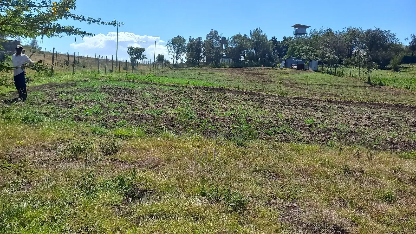 Land 1/8 Th, 1/4 & 3/4 Acre Sale