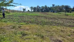 Land 1/8 Th, 1/4 & 3/4 Acre Sale