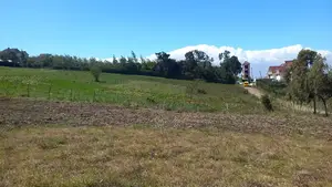 Land 1/8 Th, 1/4 & 3/4 Acre Sale