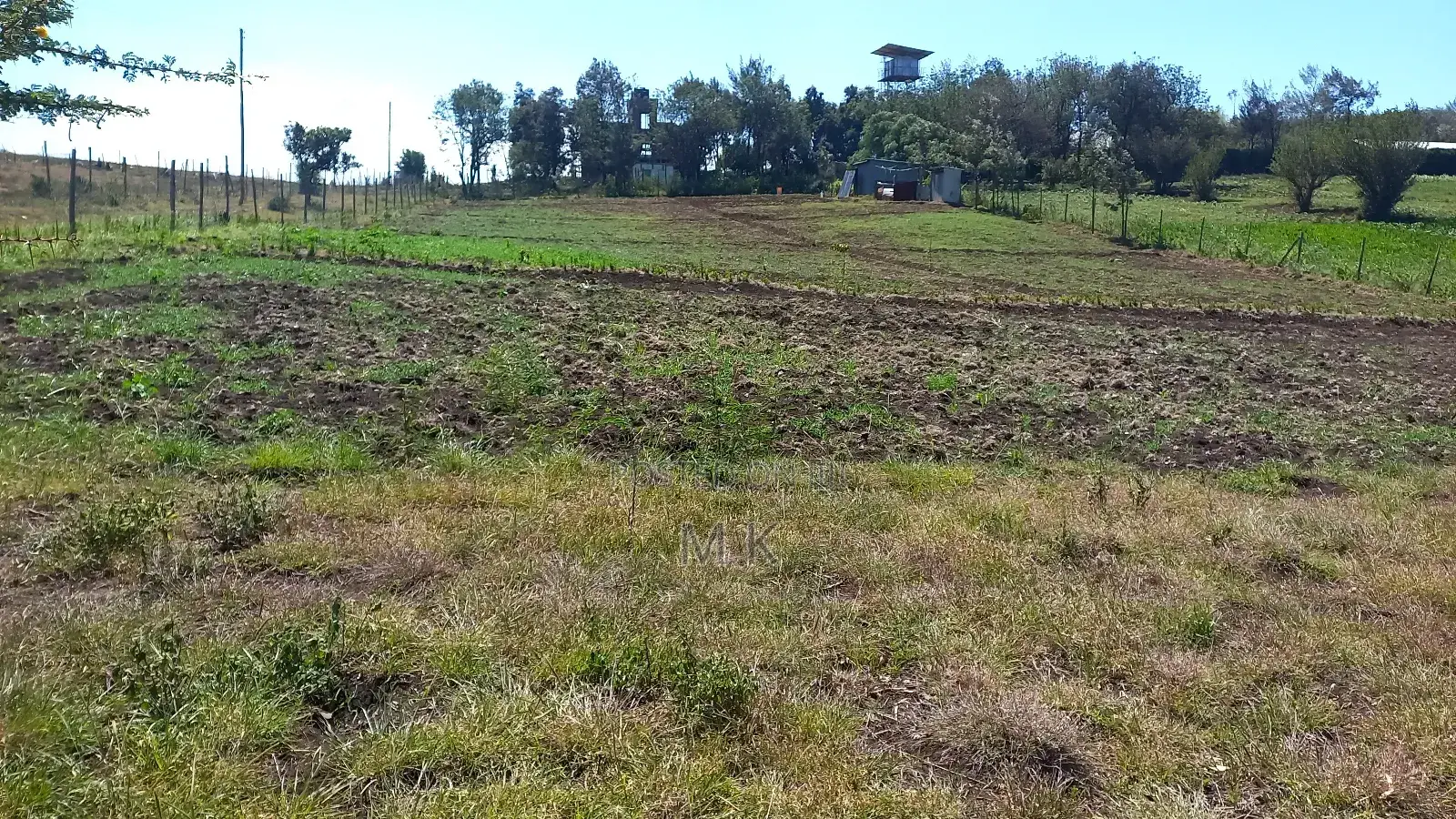 Land 1/8 Th, 1/4 & 3/4 Acre Sale