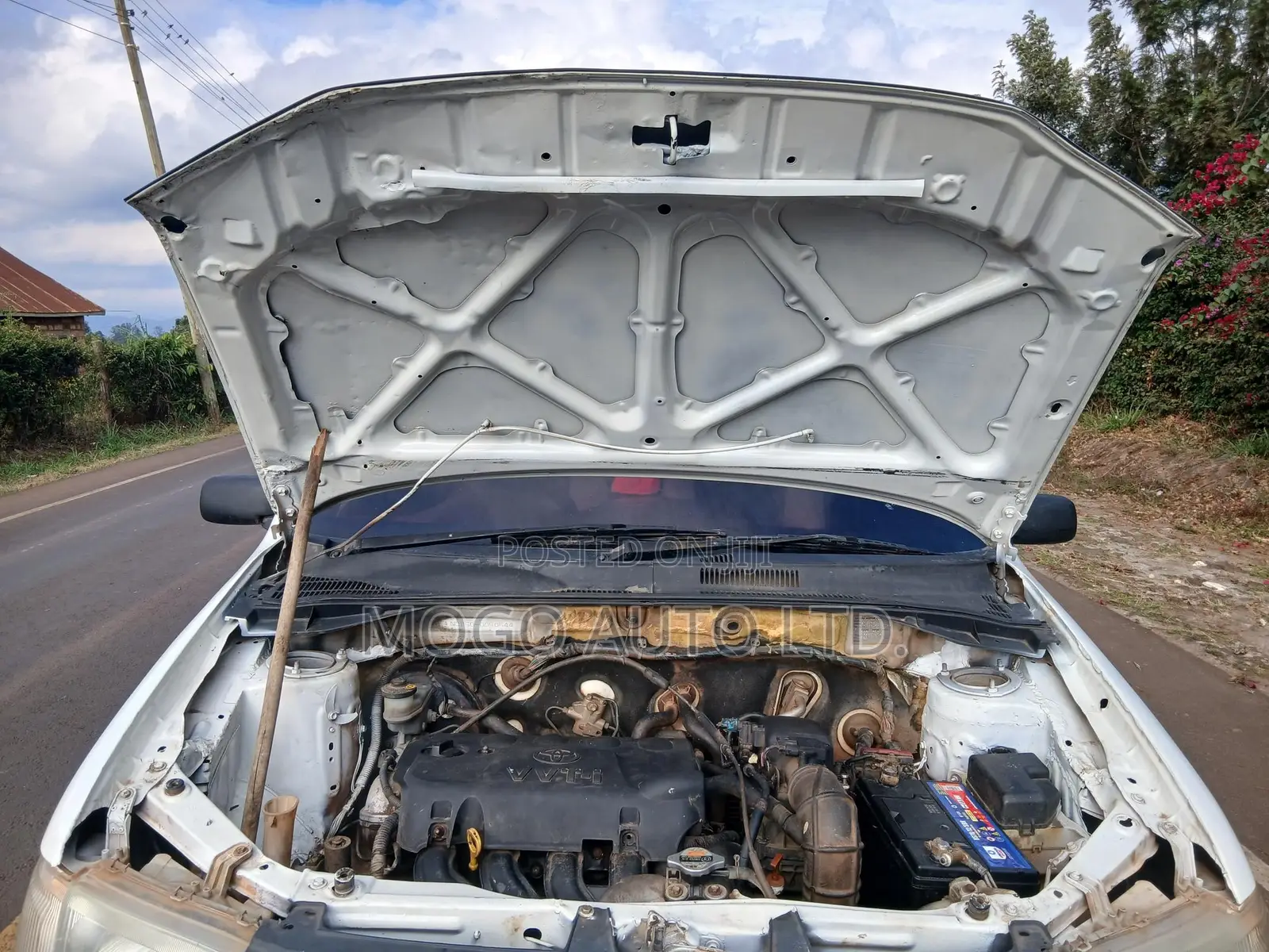 Toyota Probox 2006 White