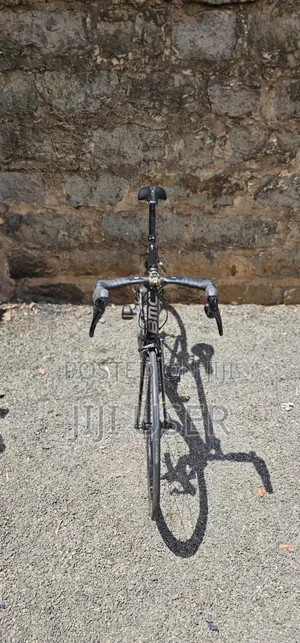 FFll Carbon Road Bike