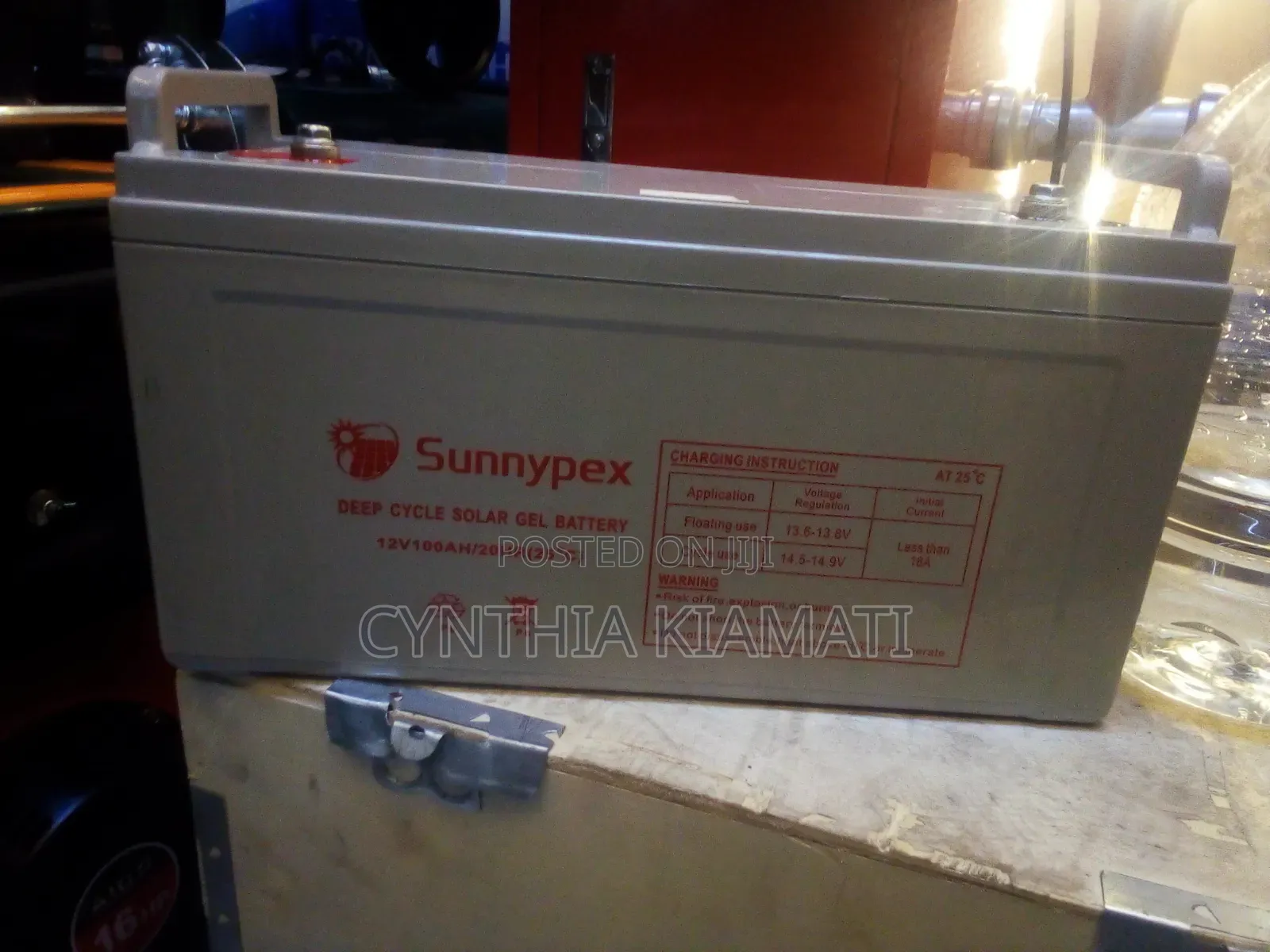 Sunnypex 100Ah Solar Battery