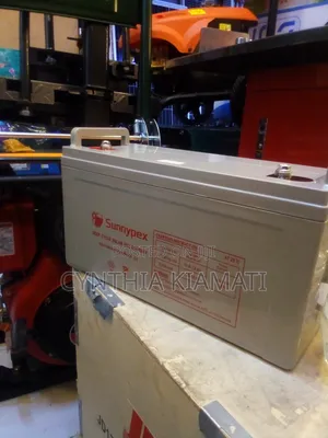 Sunnypex 100Ah Solar Battery