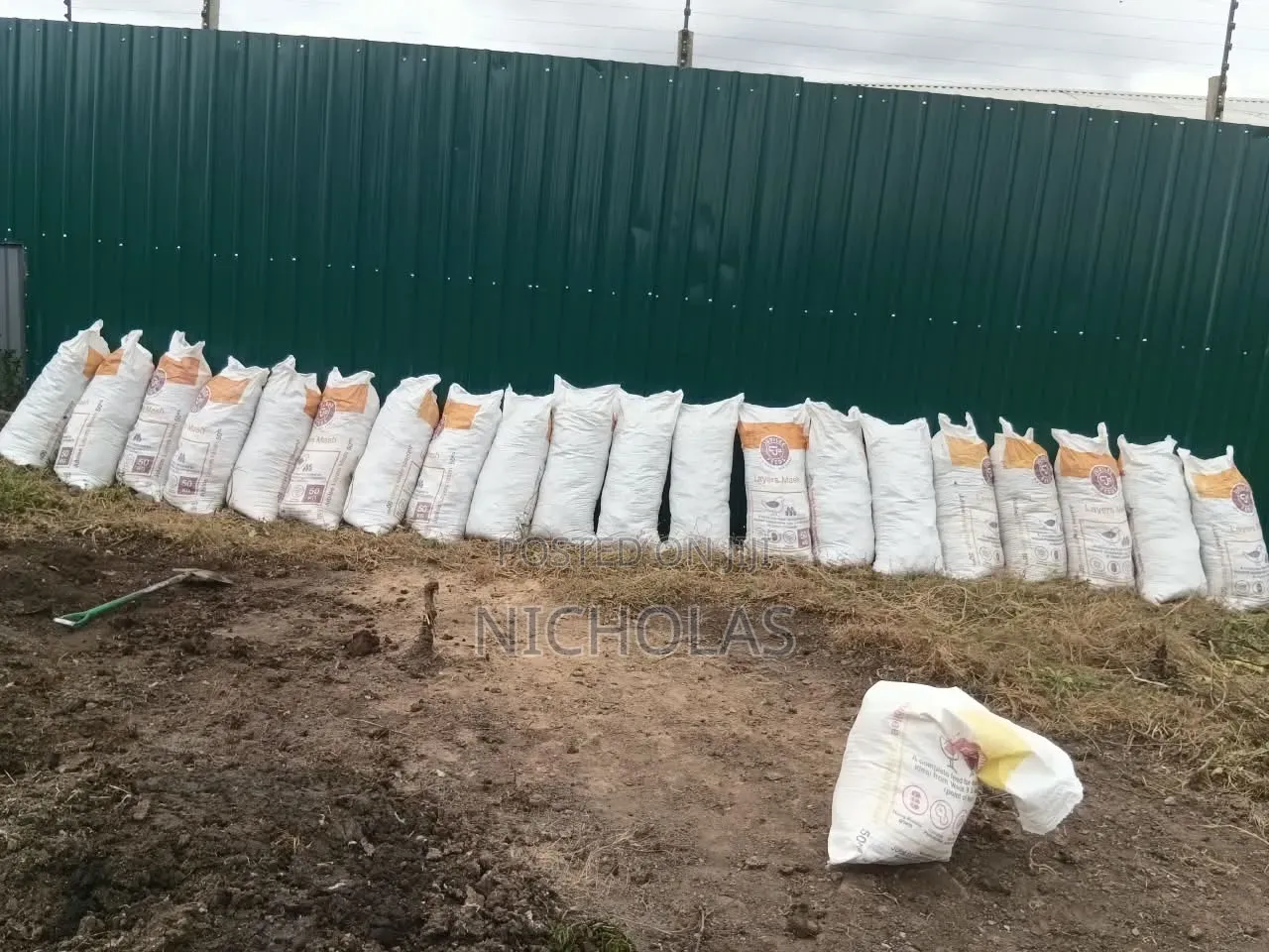 Organic Chicken Poultry Manure