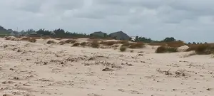 Beach Parcel of Land