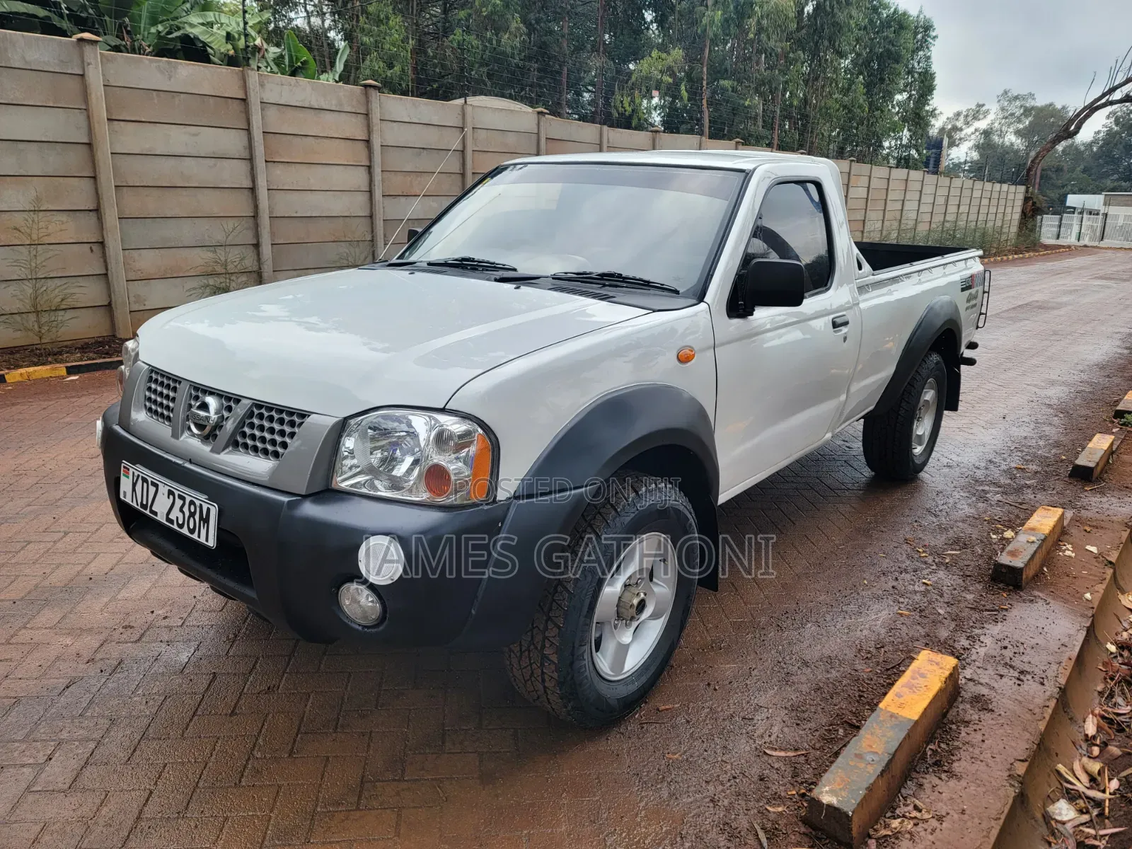Nissan Hardbody 2012 White