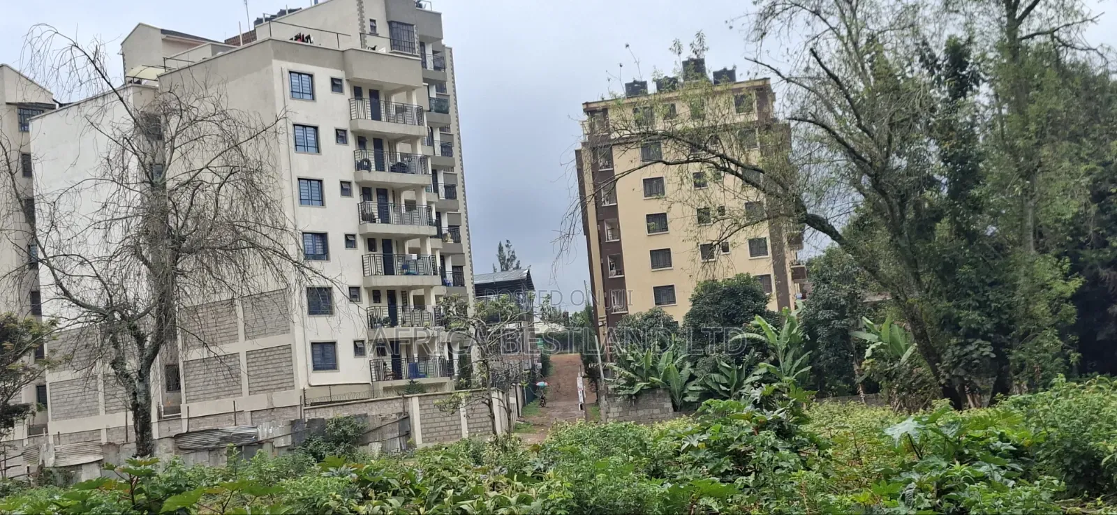 Kinoo Muthiga – 100×100 Plot for Sale