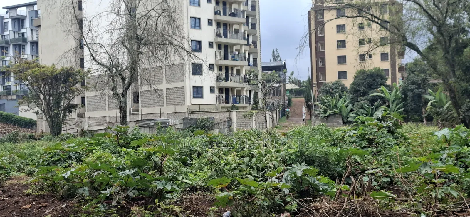 Kinoo Muthiga – 100×100 Plot for Sale