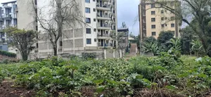 Kinoo Muthiga – 100×100 Plot for Sale