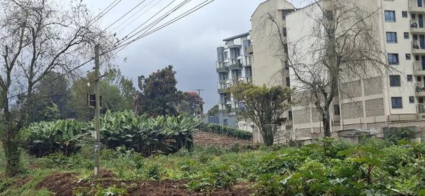 Kinoo Muthiga – 100×100 Plot for Sale - thumbnail 4