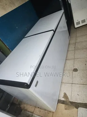 Big Ramtoms Double Door Freezer 700litres