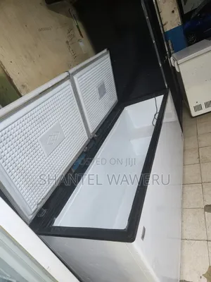 Big Ramtoms Double Door Freezer 700litres