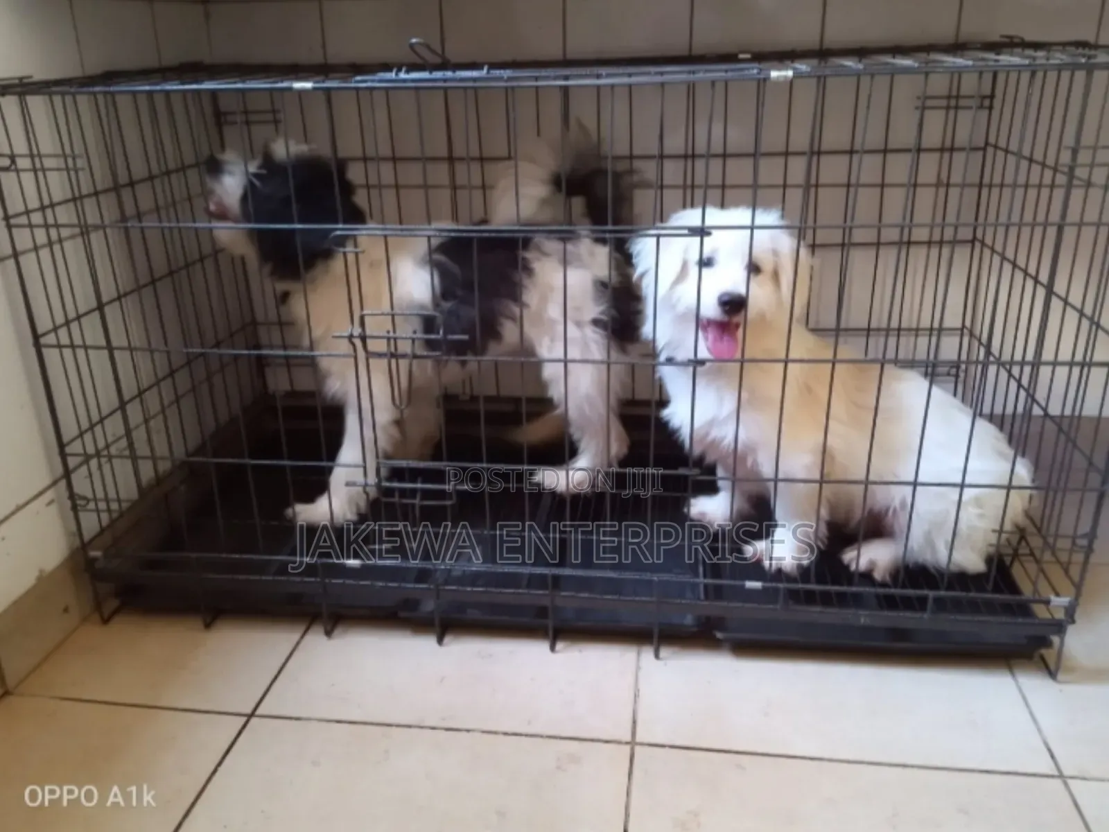 Dog Cage Dog Kennel House
